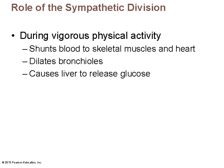 Role of the Sympathetic Division • During vigorous physical activity – Shunts blood to