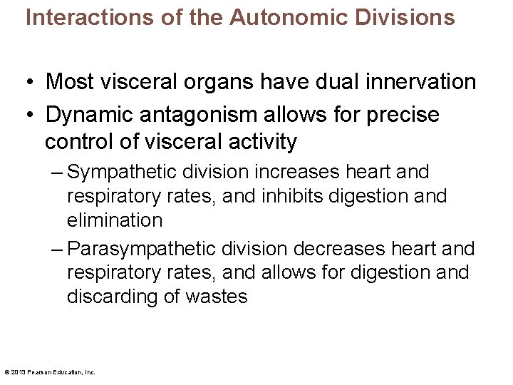 Interactions of the Autonomic Divisions • Most visceral organs have dual innervation • Dynamic