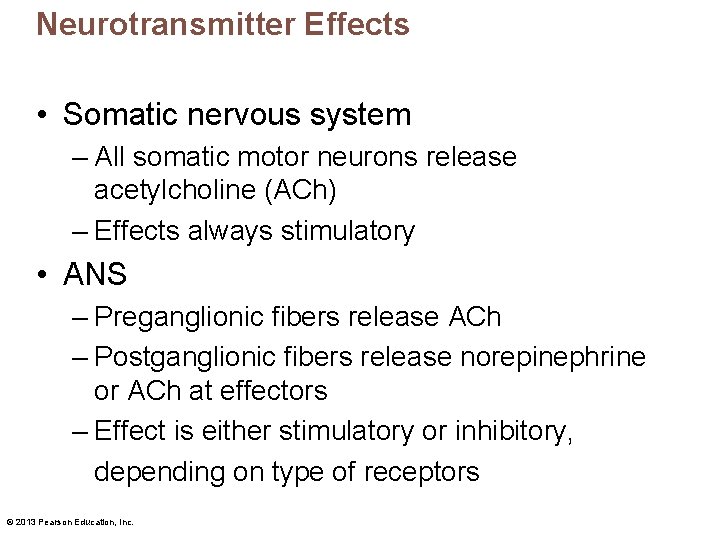 Neurotransmitter Effects • Somatic nervous system – All somatic motor neurons release acetylcholine (ACh)