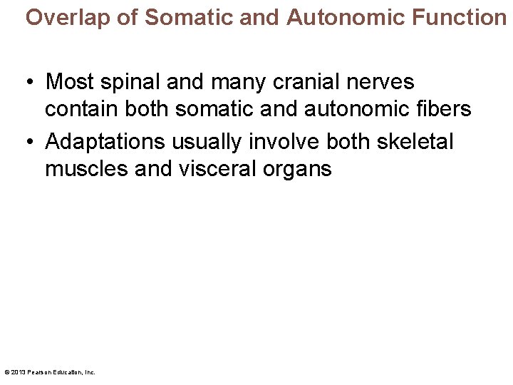 Overlap of Somatic and Autonomic Function • Most spinal and many cranial nerves contain