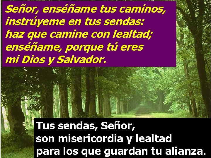 Señor, enséñame tus caminos, instrúyeme en tus sendas: haz que camine con lealtad; enséñame,