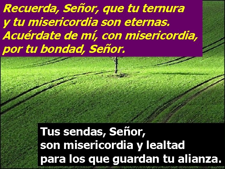 Recuerda, Señor, que tu ternura y tu misericordia son eternas. Acuérdate de mí, con