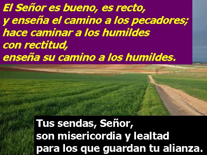 El Señor es bueno, es recto, y enseña el camino a los pecadores; hace