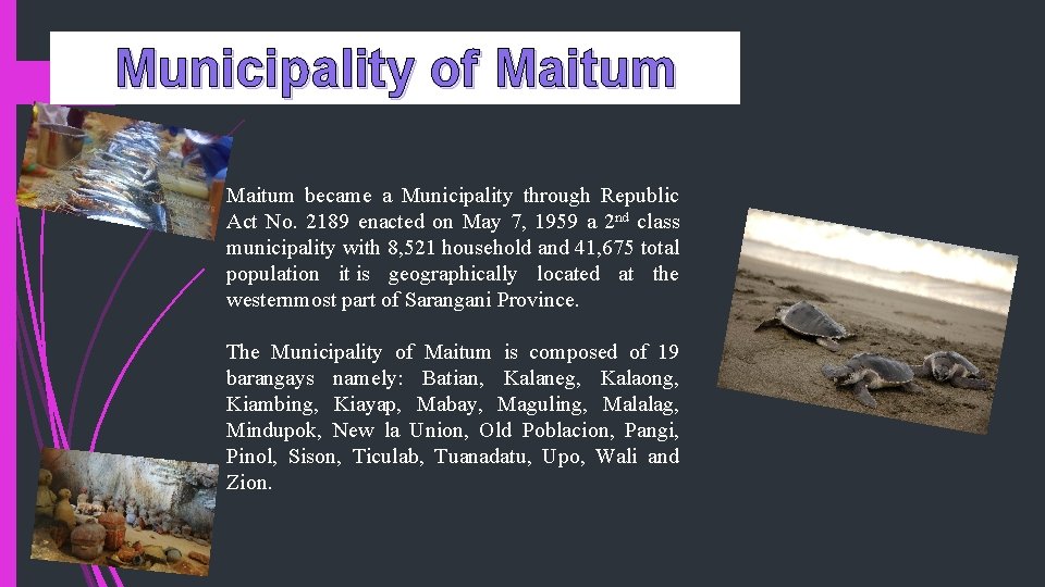 Municipality of Maitum became a Municipality through Republic Act No. 2189 enacted on May