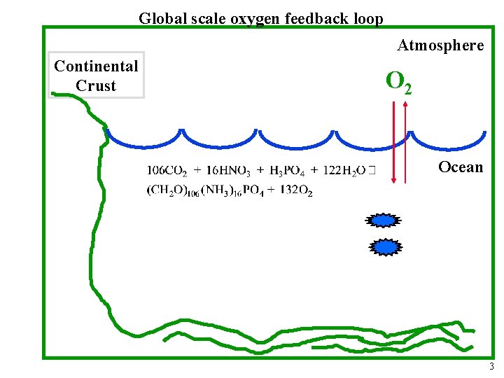 Global scale oxygen feedback loop Atmosphere Continental Crust O 2 Ocean 3 