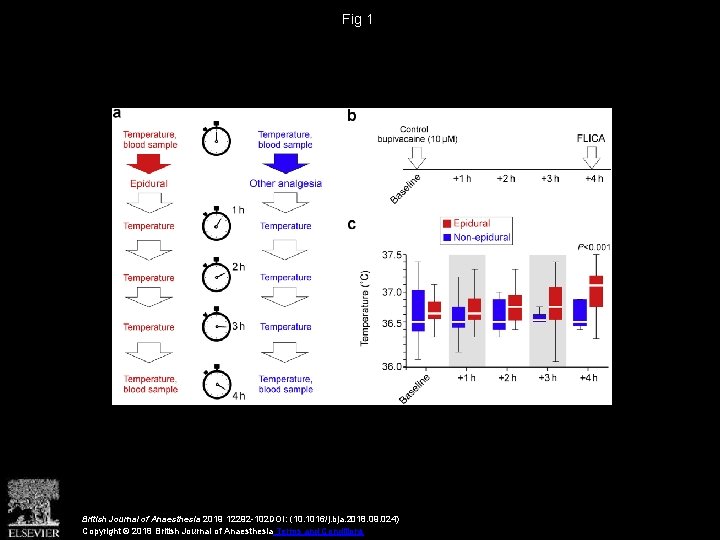 Fig 1 British Journal of Anaesthesia 2019 12292 -102 DOI: (10. 1016/j. bja. 2018.