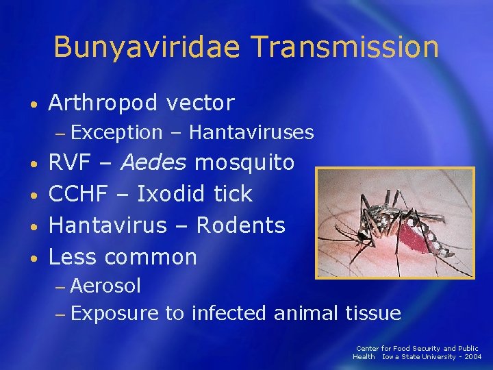 Bunyaviridae Transmission • Arthropod vector − Exception – Hantaviruses RVF – Aedes mosquito •