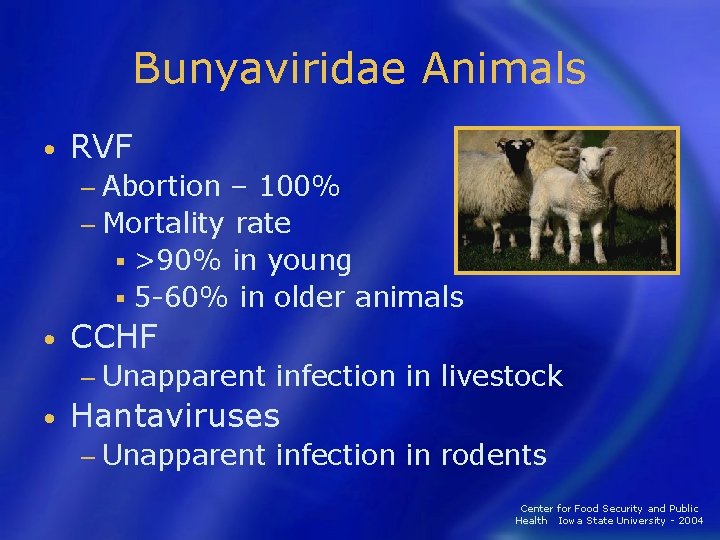 Bunyaviridae Animals • RVF − Abortion – 100% − Mortality rate § >90% in