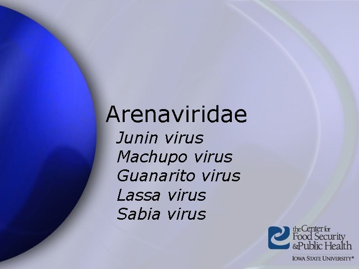 Arenaviridae Junin virus Machupo virus Guanarito virus Lassa virus Sabia virus 