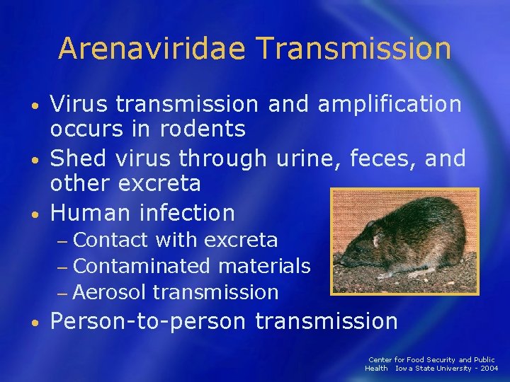 Arenaviridae Transmission Virus transmission and amplification occurs in rodents • Shed virus through urine,