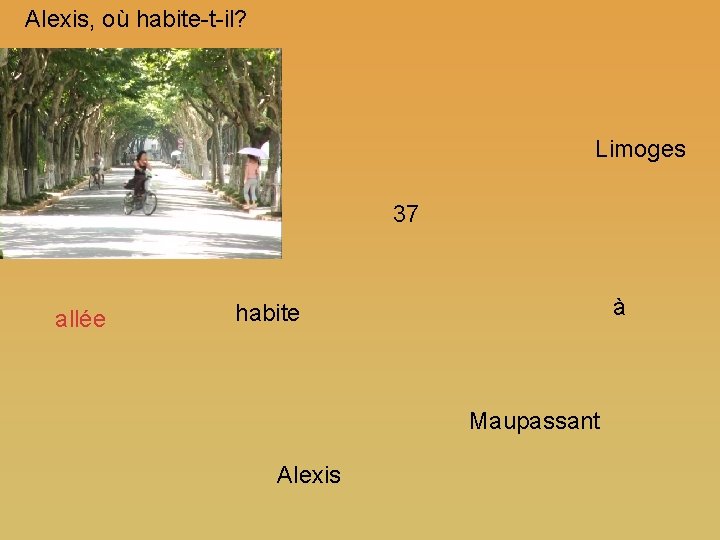 Alexis, où habite-t-il? Limoges 37 allée à habite Maupassant Alexis 