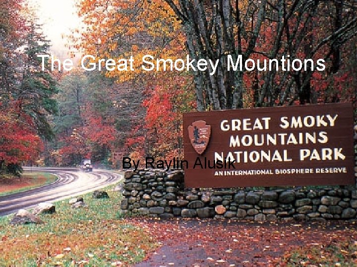The Great Smokey Mountions By Raylin Alusik 