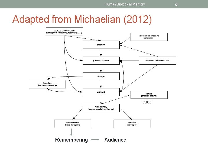 Human Biological Memory Adapted from Michaelian (2012) cues Remembering Audience 5 