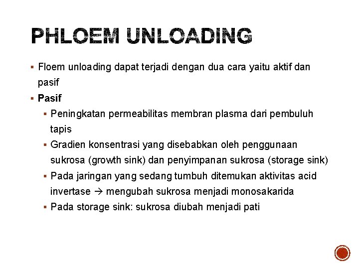 § Floem unloading dapat terjadi dengan dua cara yaitu aktif dan pasif § Peningkatan
