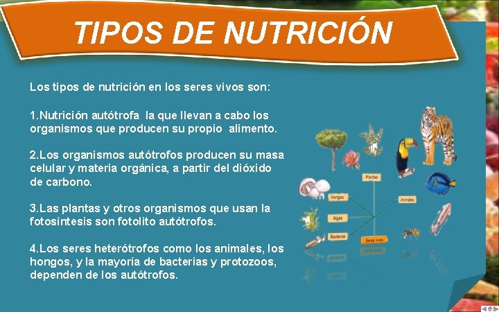 TIPOS DE NUTRICIÓN Los tipos de nutrición en los seres vivos son: 1. Nutrición