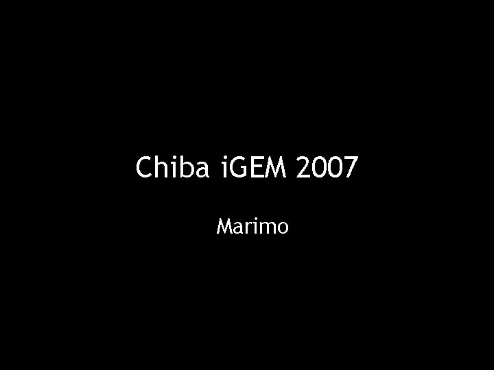Chiba i. GEM 2007 Marimo 