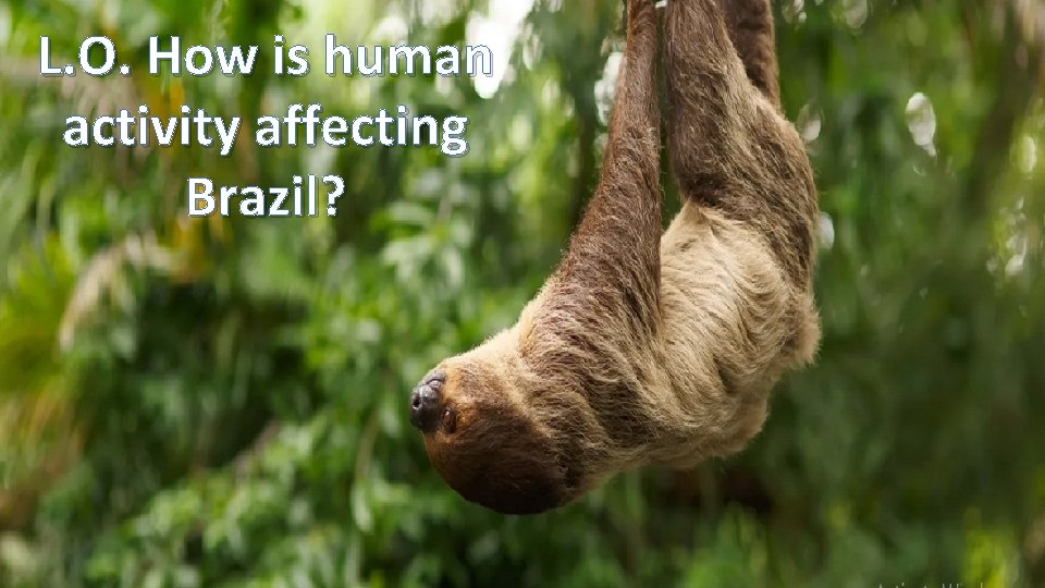 L. O. How is human activity affecting Brazil? 