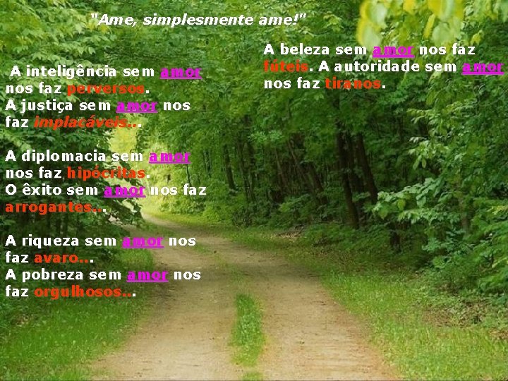 “Ame, simplesmente ame!" A inteligência sem amor nos faz perversos. A justiça sem amor