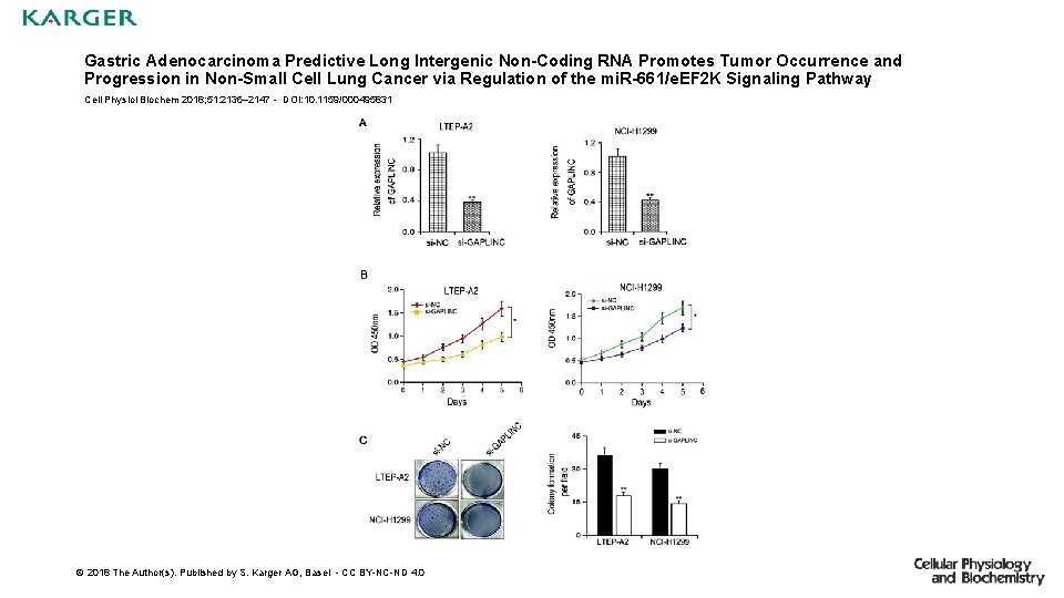 Gastric Adenocarcinoma Predictive Long Intergenic Non-Coding RNA Promotes Tumor Occurrence and Progression in Non-Small