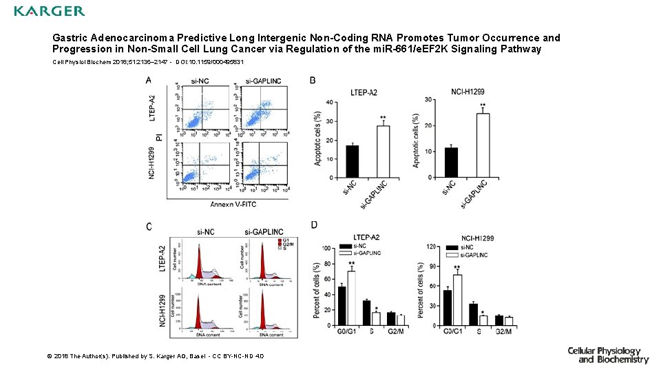 Gastric Adenocarcinoma Predictive Long Intergenic Non-Coding RNA Promotes Tumor Occurrence and Progression in Non-Small
