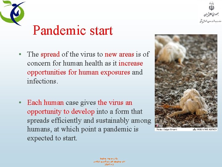 Pandemic start • The spread of the virus to new areas is of concern