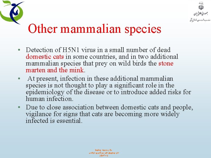 Other mammalian species • Detection of H 5 N 1 virus in a small