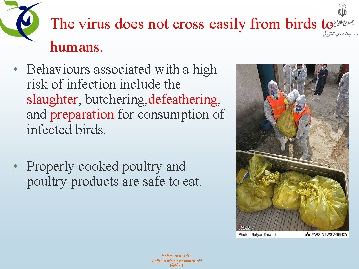 The virus does not cross easily from birds to humans. • Behaviours associated with