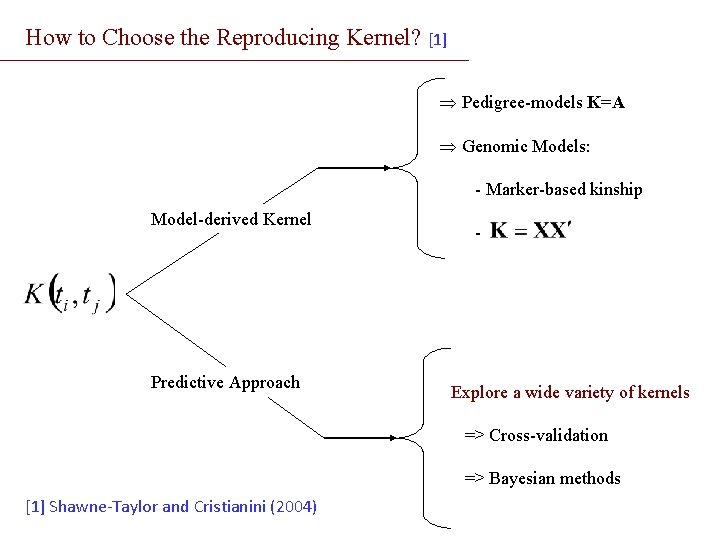 How to Choose the Reproducing Kernel? [1] Þ Pedigree-models K=A Þ Genomic Models: -