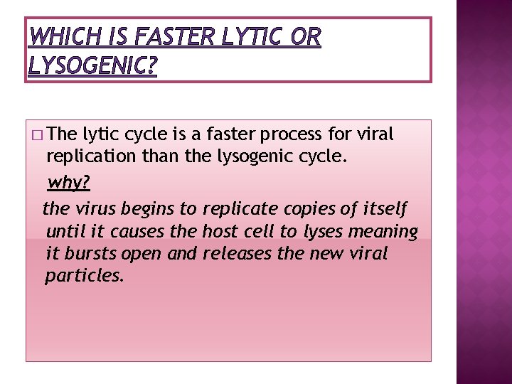 WHICH IS FASTER LYTIC OR LYSOGENIC? � The lytic cycle is a faster process