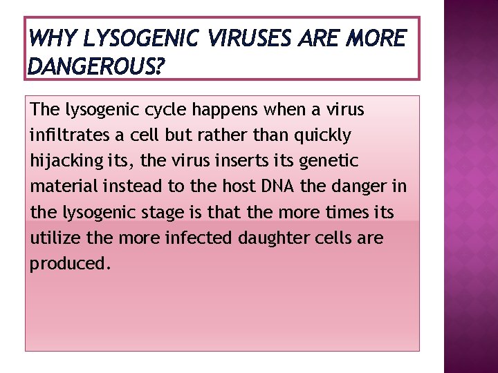 WHY LYSOGENIC VIRUSES ARE MORE DANGEROUS? The lysogenic cycle happens when a virus infiltrates