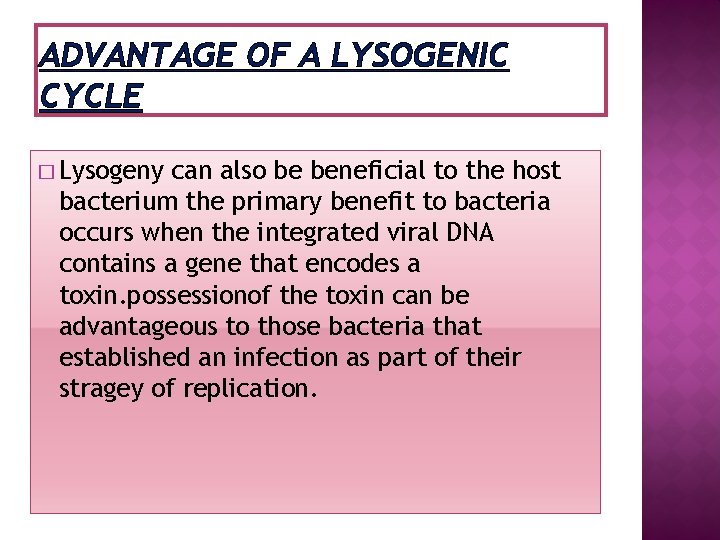 ADVANTAGE OF A LYSOGENIC CYCLE � Lysogeny can also be beneficial to the host