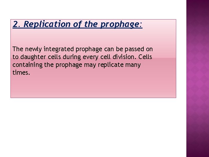 2. Replication of the prophage: The newly integrated prophage can be passed on to