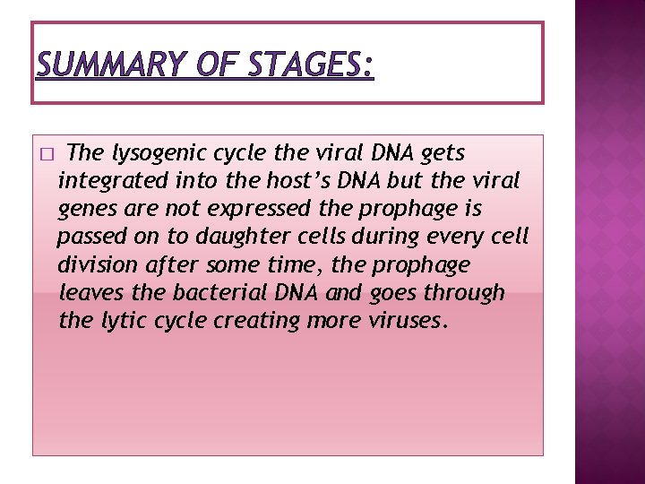 SUMMARY OF STAGES: � The lysogenic cycle the viral DNA gets integrated into the