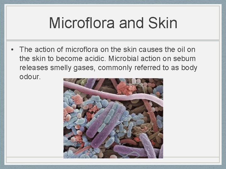 Microflora and Skin • The action of microflora on the skin causes the oil