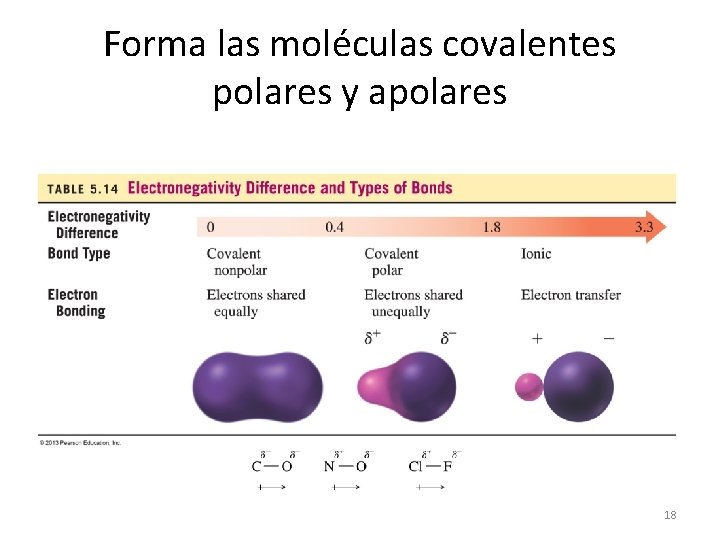 Forma las moléculas covalentes polares y apolares 18 