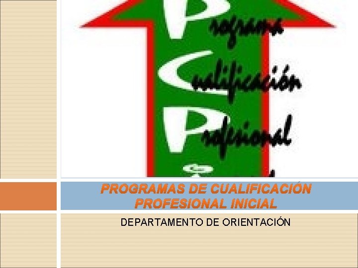 PROGRAMAS DE CUALIFICACIÓN PROFESIONAL INICIAL DEPARTAMENTO DE ORIENTACIÓN 