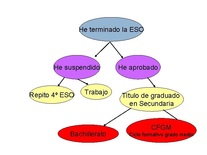 He terminado la ESO He suspendido Repito 4º ESO Trabajo Bachillerato He aprobado Título