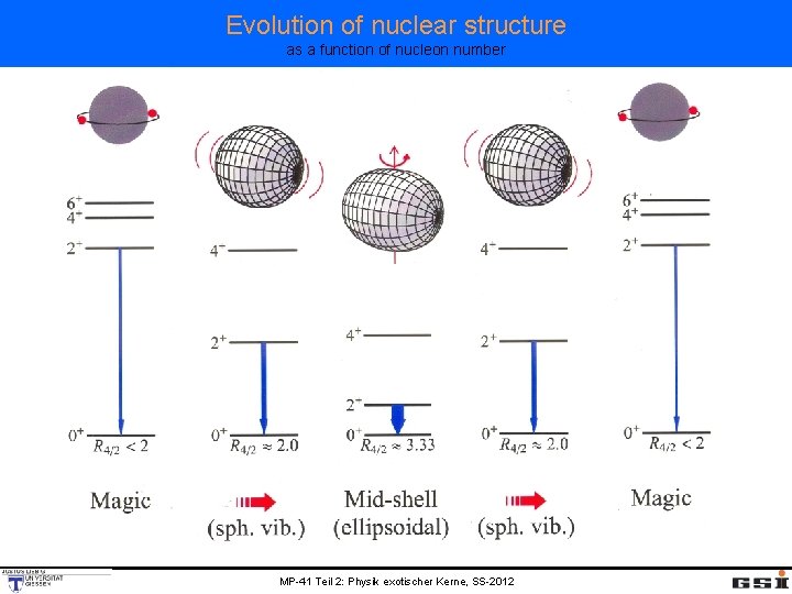 Evolution of nuclear structure as a function of nucleon number MP-41 Teil 2: Physik