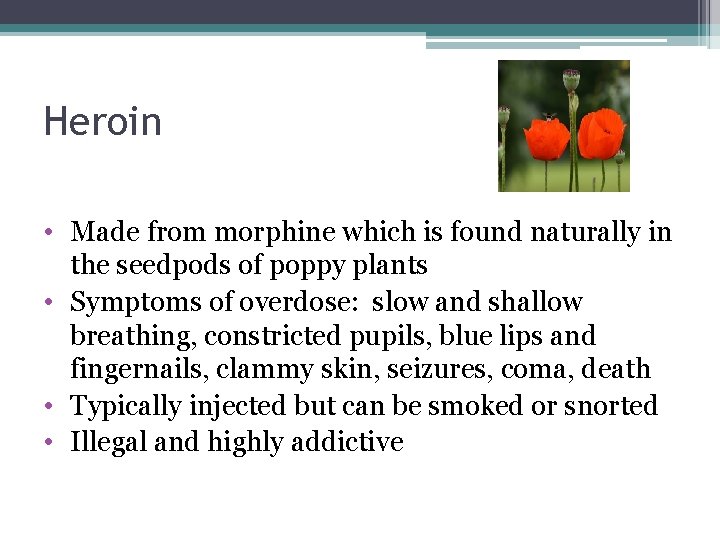 Heroin • Made from morphine which is found naturally in the seedpods of poppy