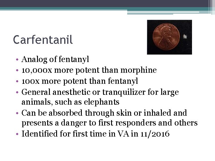 Carfentanil • • Analog of fentanyl 10, 000 x more potent than morphine 100