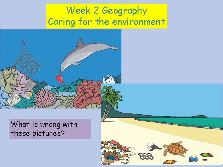 Week 2 Geography Caring for the environment What is wrong with these pictures? 