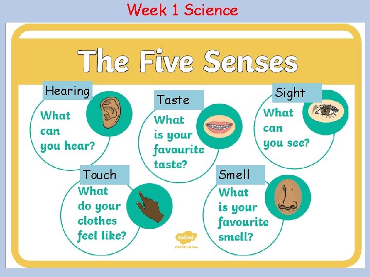 Week 1 Science Hearing Touch Sight Taste Smell 