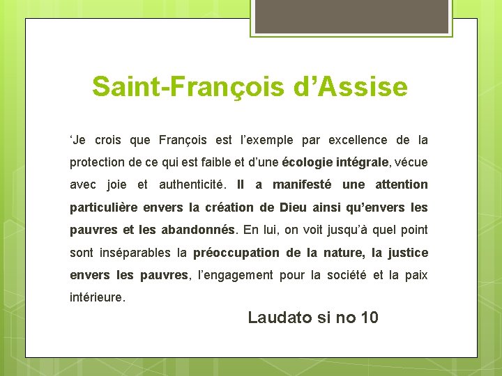 Saint-François d’Assise ‘Je crois que François est l’exemple par excellence de la protection de