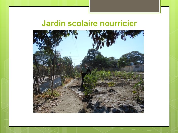 Jardin scolaire nourricier 