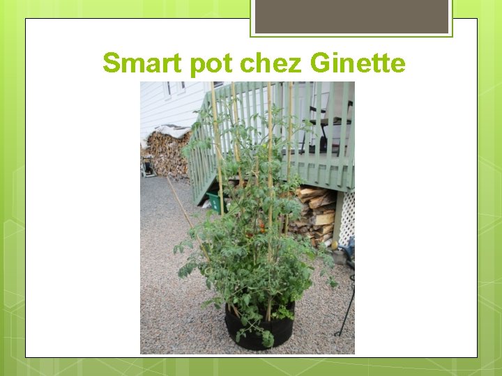 Smart pot chez Ginette 