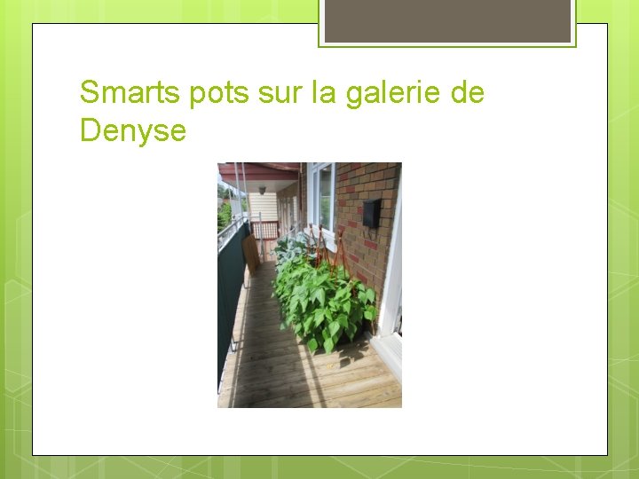 Smarts pots sur la galerie de Denyse 