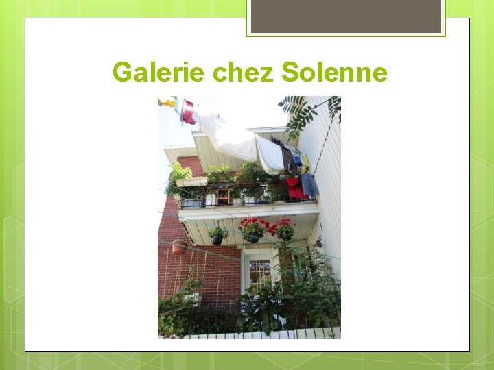 Galerie chez Solenne 