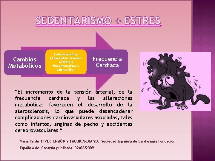 SEDENTARISMO + ESTRES Cambios Metabólicos Catecolaminas (Aumentan tensión arterial) Noradrenalina y adrenalina Frecuencia Cardiaca