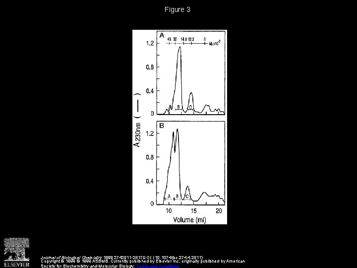 Figure 3 Journal of Biological Chemistry 1999 2742511 -2517 DOI: (10. 1074/jbc. 274. 4.