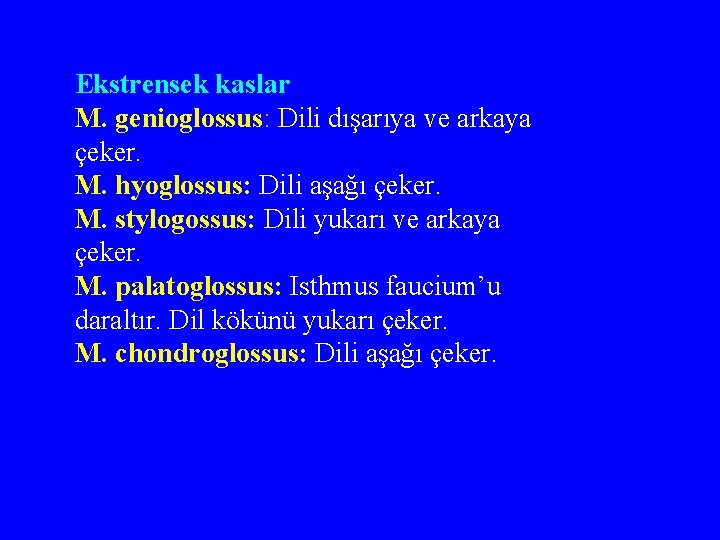 Ekstrensek kaslar M. genioglossus: Dili dışarıya ve arkaya çeker. M. hyoglossus: Dili aşağı çeker.